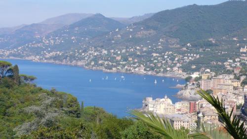 Villa Rosmarino Camogli Exteriér fotografie